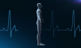 心脏跳动视频,揭秘心脏跳动的奥秘